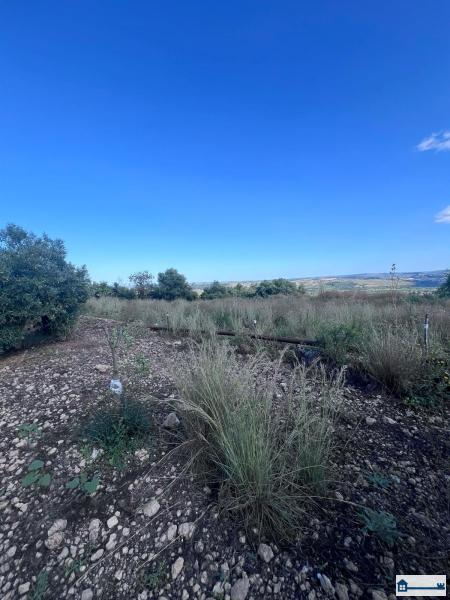 PHOTO-2025-07-09-11-42-40 (16).jpg